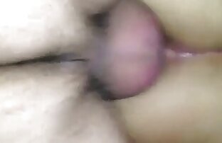 XXX Amateur anal cockwhore free pornolatino