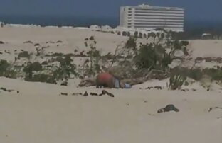 XXX Platillo Nips 3 pono en español latino